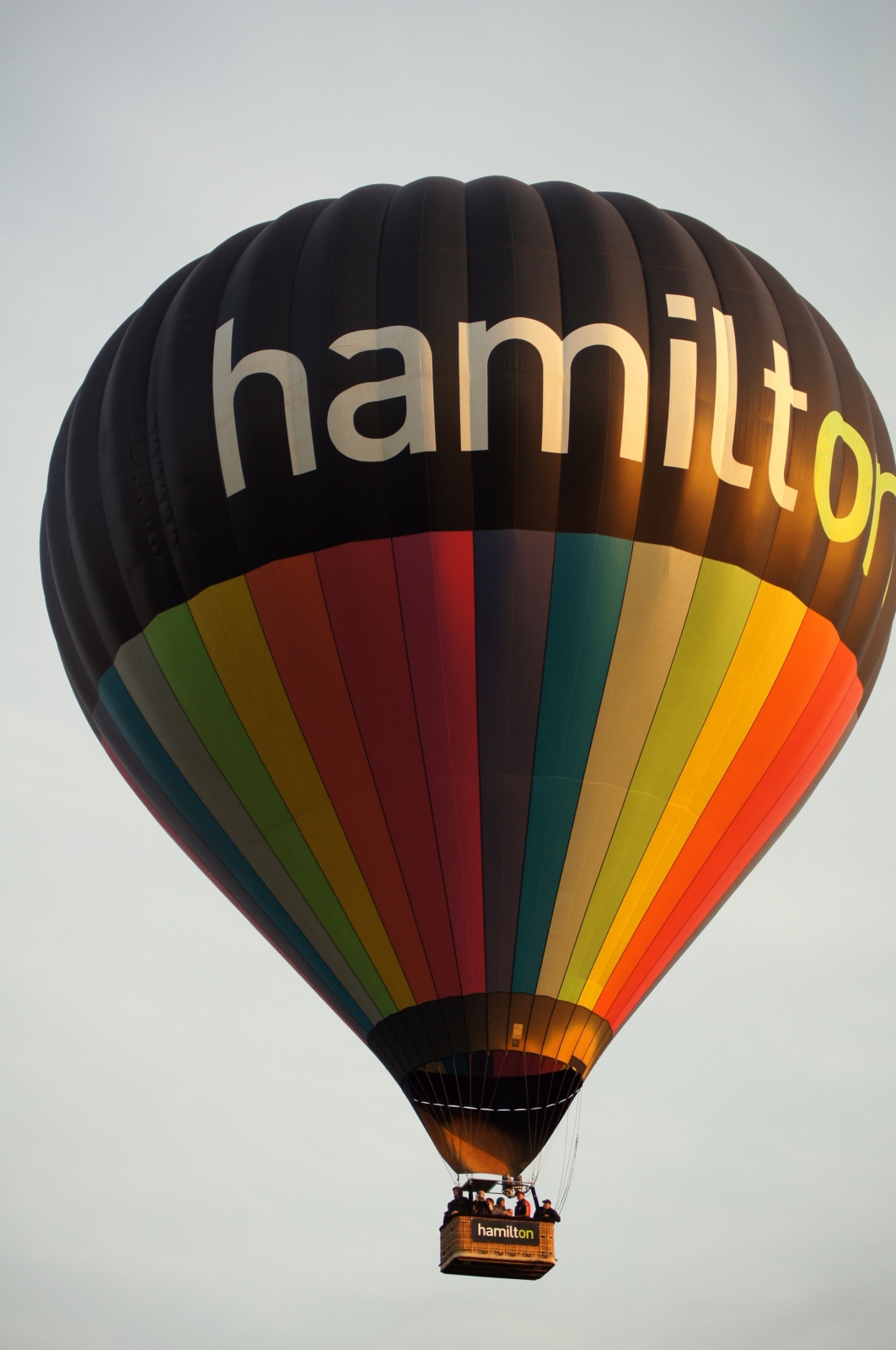 Hamilton Colours